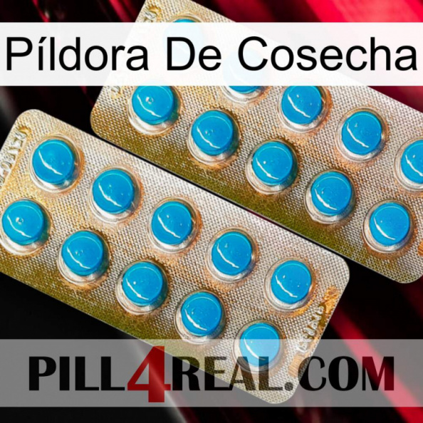 Píldora De Cosecha new08.jpg